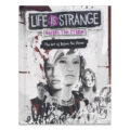 The front cover design of The Art of Before the Storm (book)