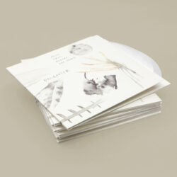 Music from Before the Storm (Daughter) [presentation] (album covers)