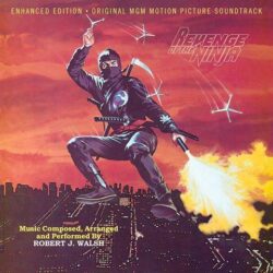 Cover artwork for the Revenge Of The Ninja soundtrack CD (a limited edition)