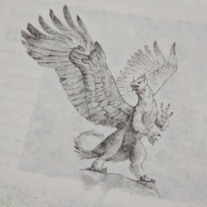 Razum-dar's Journal (interior content example)