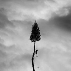 A Black Mile To The Surface (Manchester Orchestra) [album cover artwork]