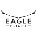 Eagle Flight (2016) [logo]