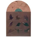What Remains of Edith Finch (2017) Video Game Soundtrack [1xLP] 8BIT-8070 850971008129 [presentation (inner sleeve)]
