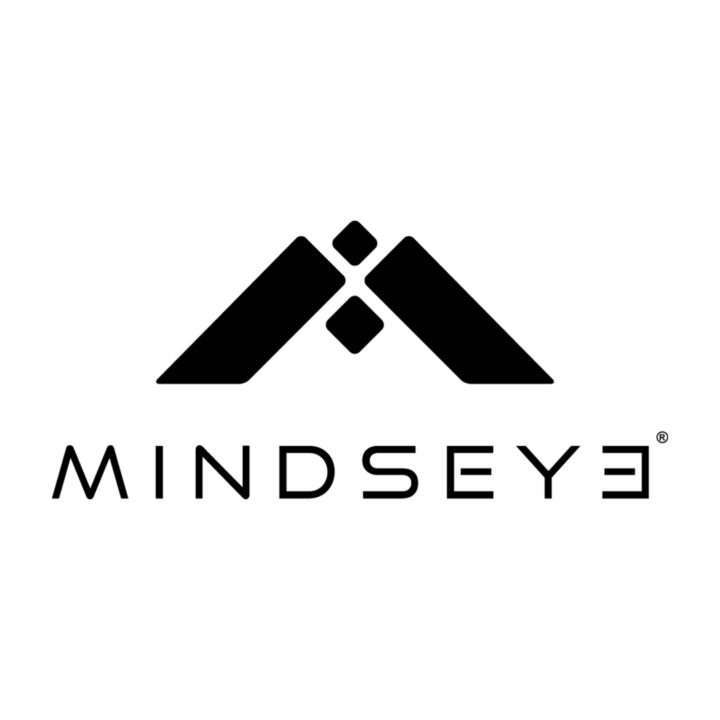 MindsEye MindsEye (logo)